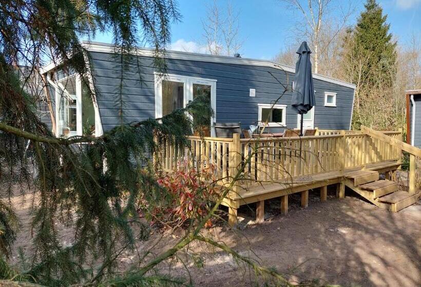 Erfgoed De Boemerang   Chalets