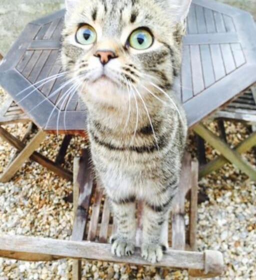 Escape Pod In Devon, 5 Mins From Beach + Parking