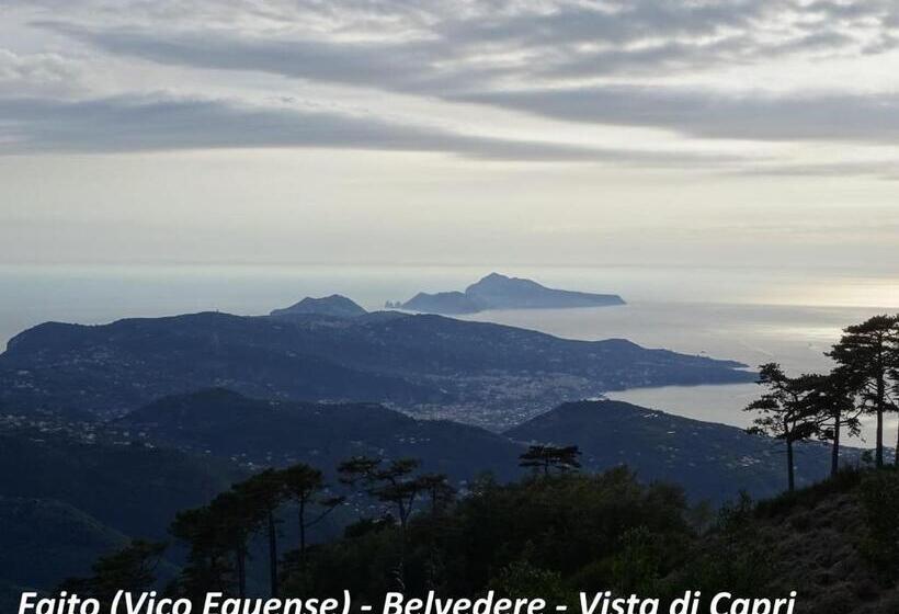 Filangieri 23   Luxury B&b   Sorrento Coast