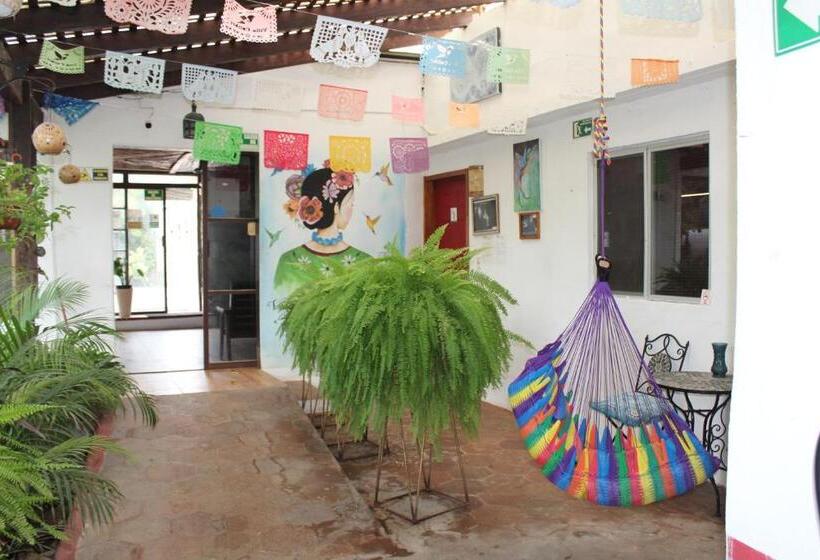 ホテル Cabañas Colibrí