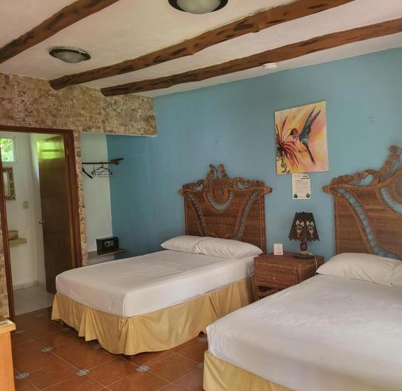 ホテル Cabañas Colibrí