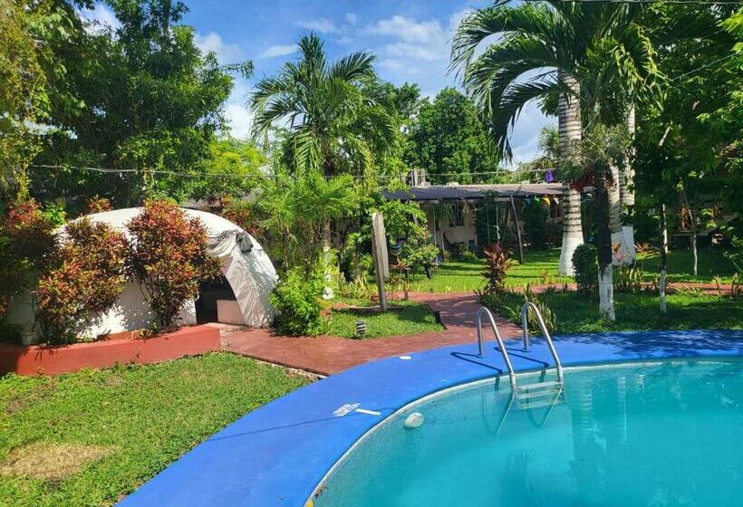 ホテル Cabañas Colibrí