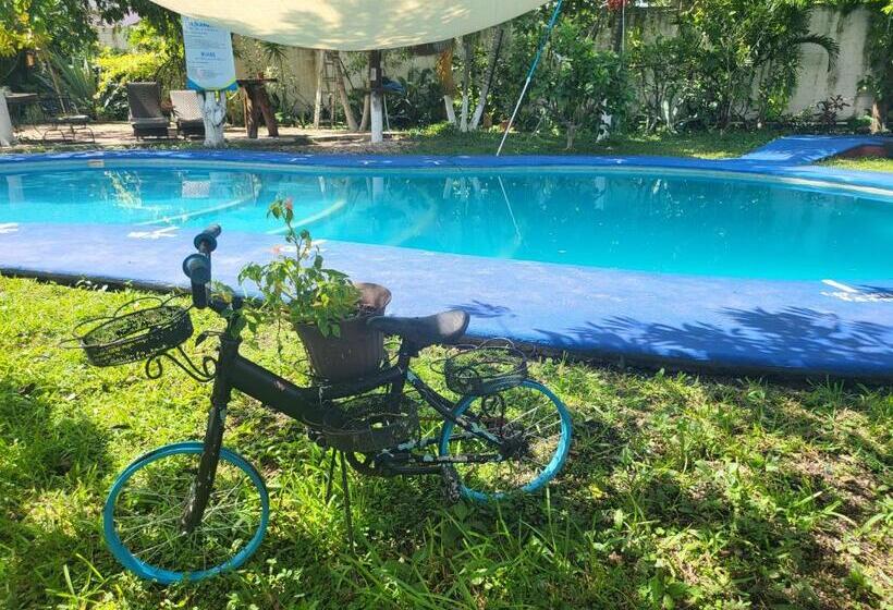 ホテル Cabañas Colibrí