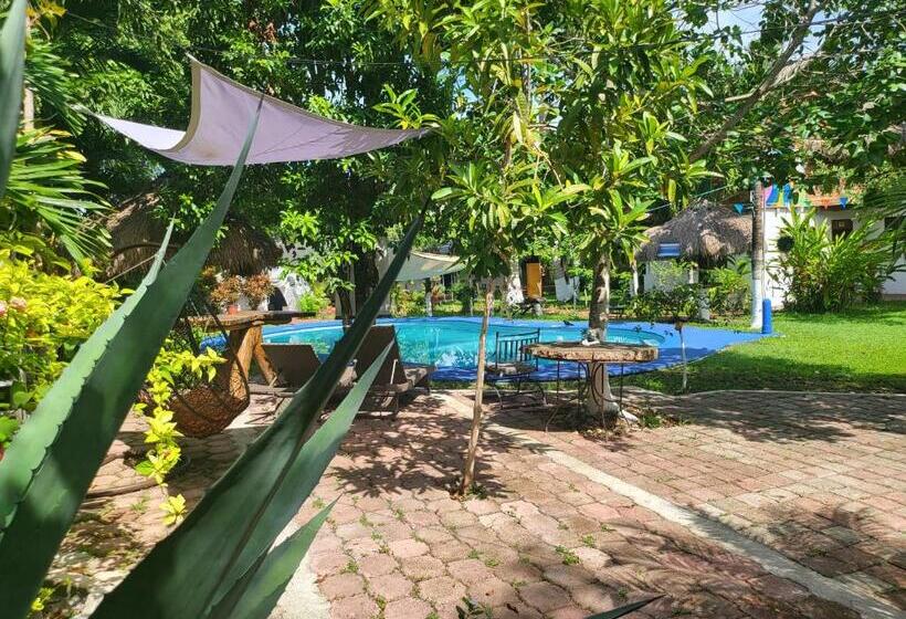 ホテル Cabañas Colibrí