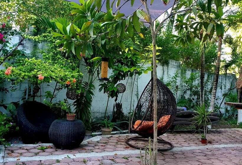 هتل Cabañas Colibrí