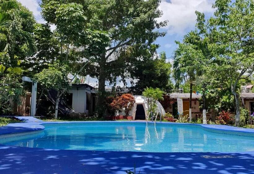 ホテル Cabañas Colibrí