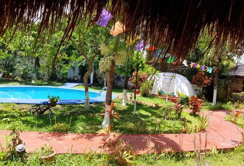 ホテル Cabañas Colibrí