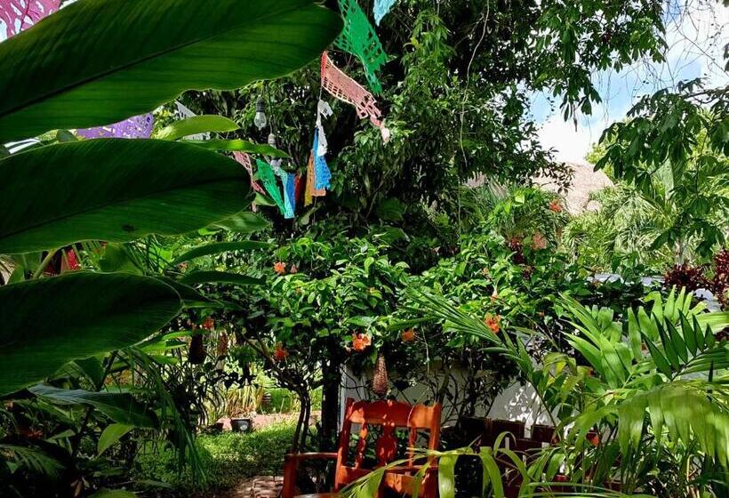 ホテル Cabañas Colibrí