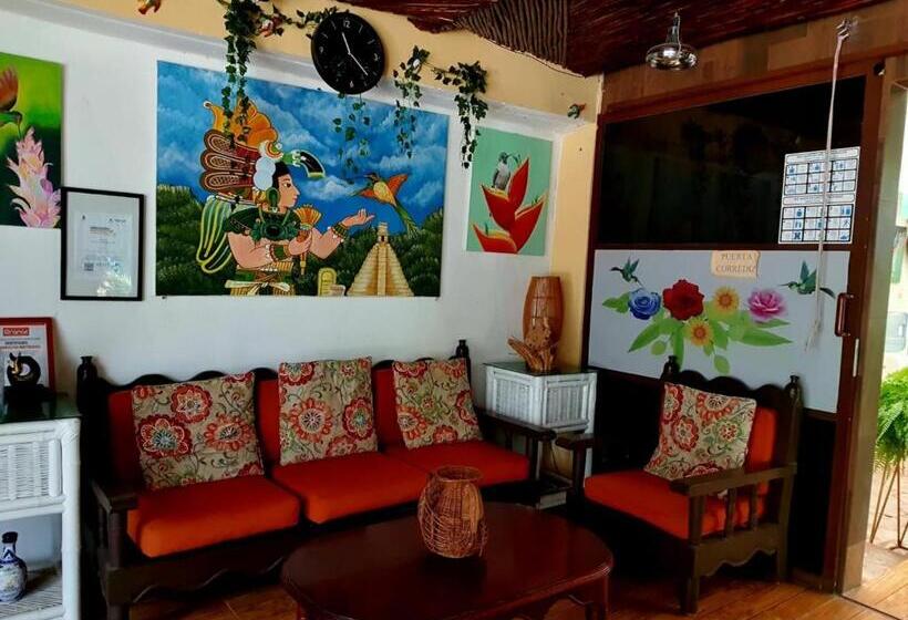 ホテル Cabañas Colibrí