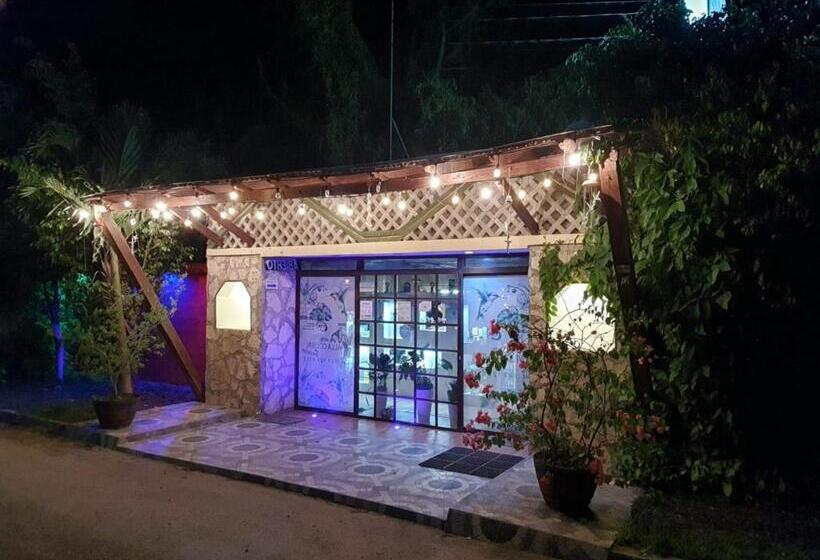 هتل Cabañas Colibrí