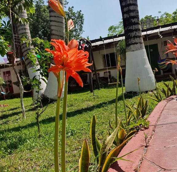 هتل Cabañas Colibrí