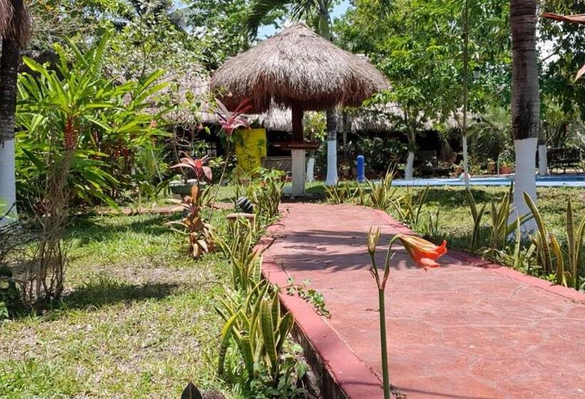 ホテル Cabañas Colibrí