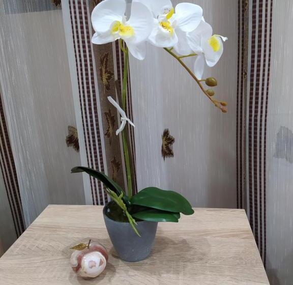 ペンション каламанди