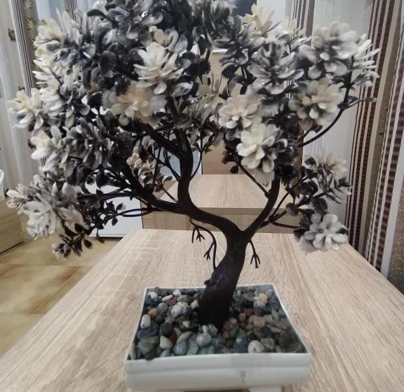 ペンション каламанди