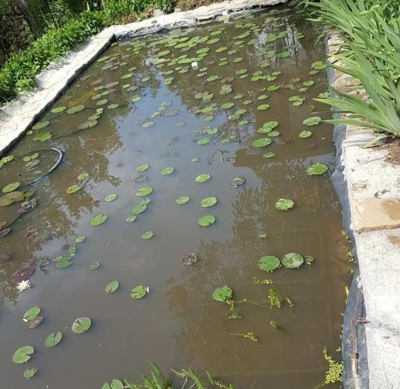 Pensjonat дургунската къща  Durgunskata Kashta