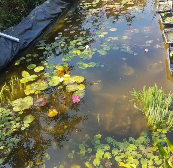 Pensjonat дургунската къща  Durgunskata Kashta