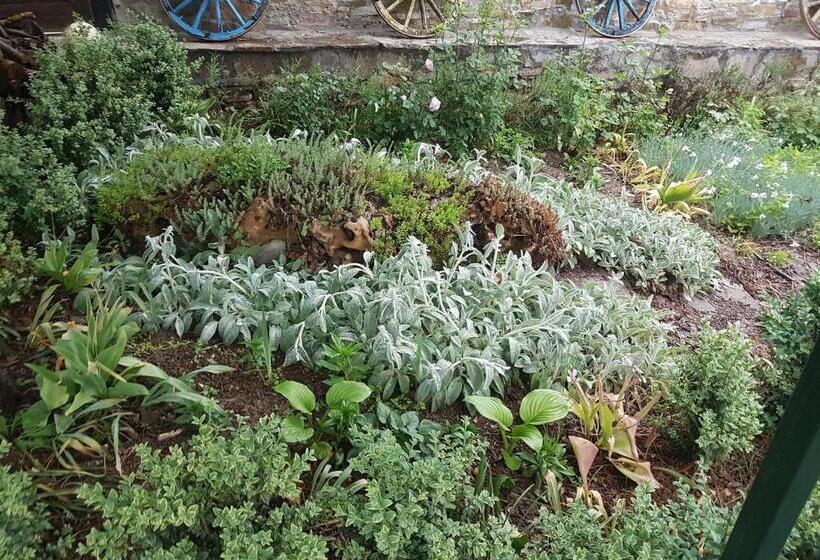 Pensjonat дургунската къща  Durgunskata Kashta