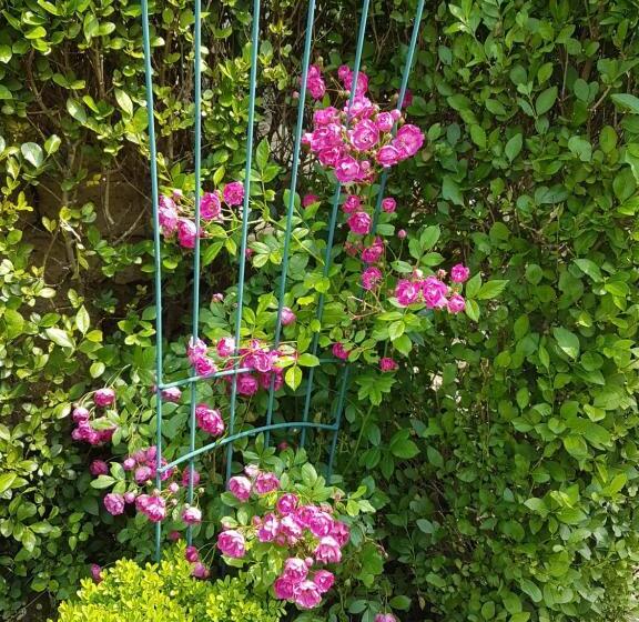 Pensjonat дургунската къща  Durgunskata Kashta