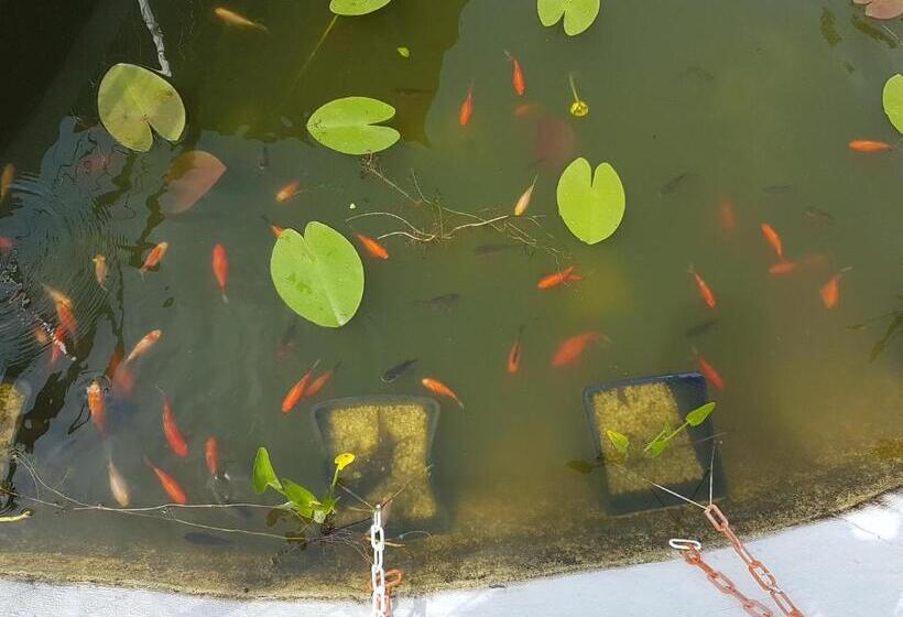 Pensjonat дургунската къща  Durgunskata Kashta