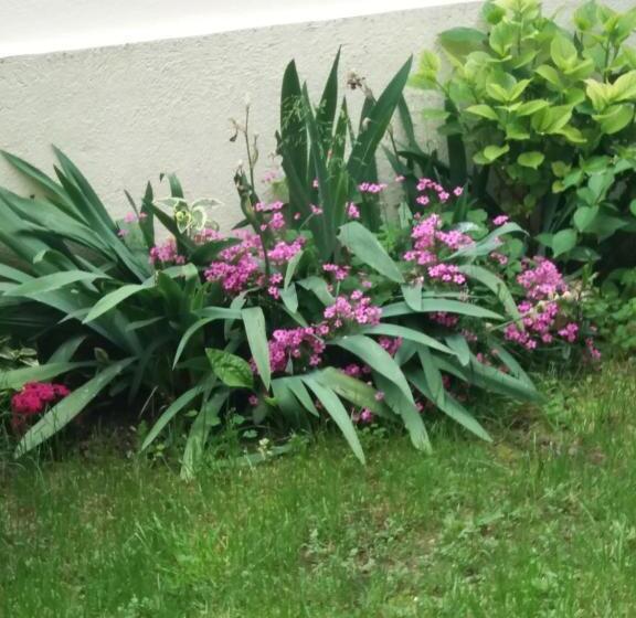 ペンション къща за гости а. б. в