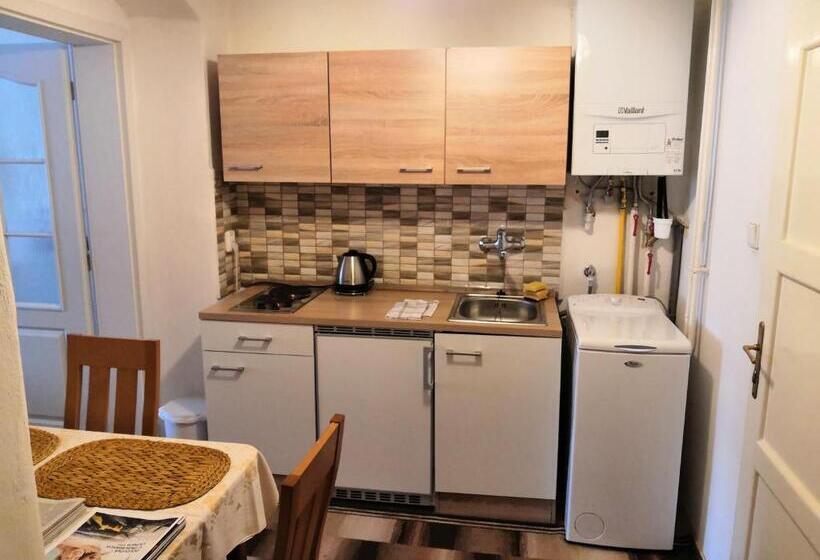 ペンション Apartmány V Centru U Moravců