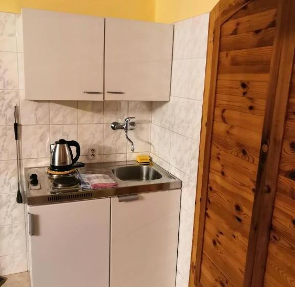 ペンション Apartmány V Centru U Moravců