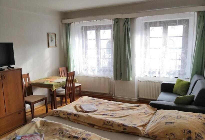 ペンション Apartmány V Centru U Moravců