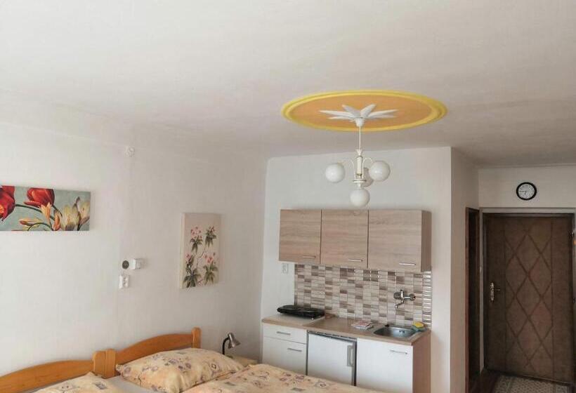 پانسیون Apartmány V Centru U Moravců