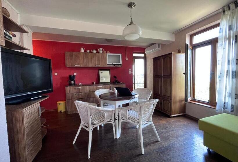 膳宿费 Brunette Beauties Guesthouse & Studio Sinemorets