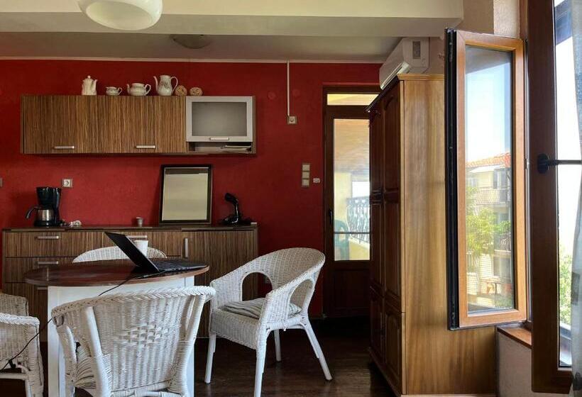 膳宿费 Brunette Beauties Guesthouse & Studio Sinemorets