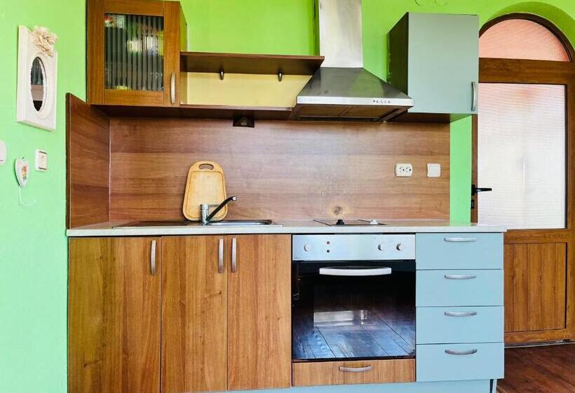 膳宿费 Brunette Beauties Guesthouse & Studio Sinemorets