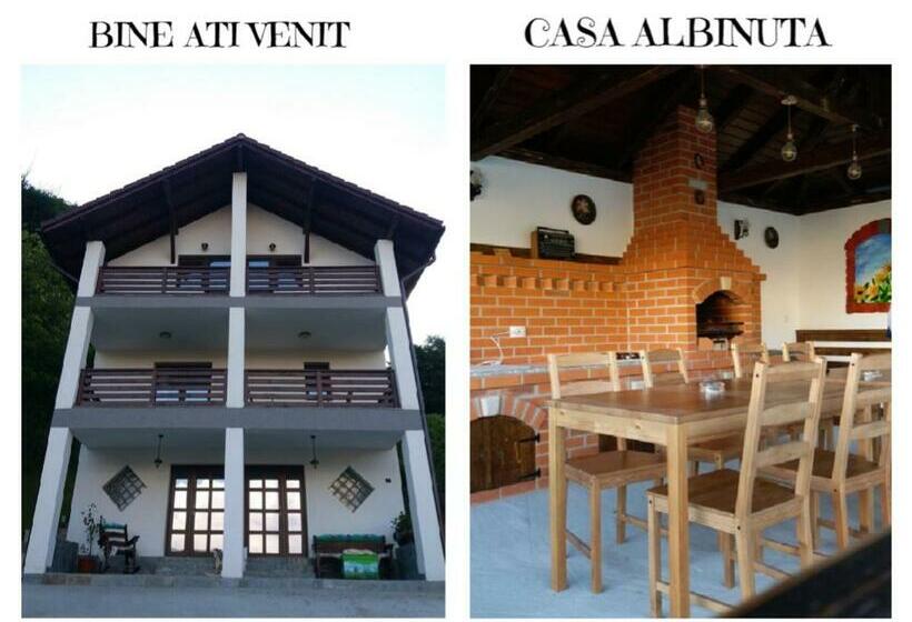 펜션 Casa Albinuța