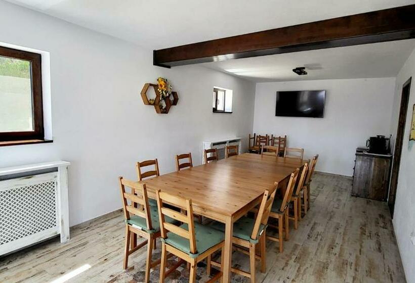 펜션 Casa Albinuța