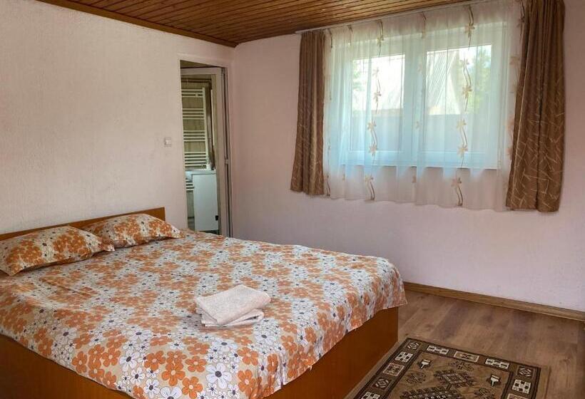 بنسيون Casa Blendea Daniela