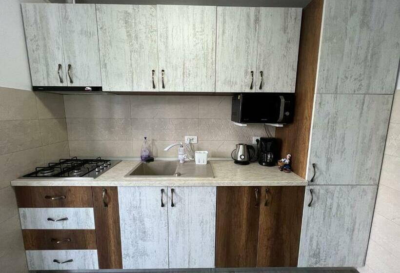 Пансион Casa Lebăda