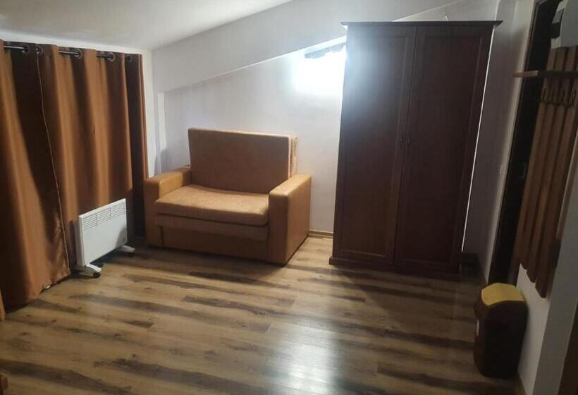 Пансион Casa Vlad