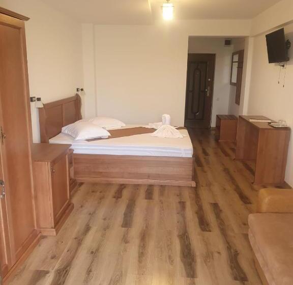 Пансион Casa Vlad