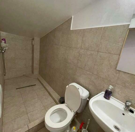 פנסיון Casa Wiesmann Băile Felix