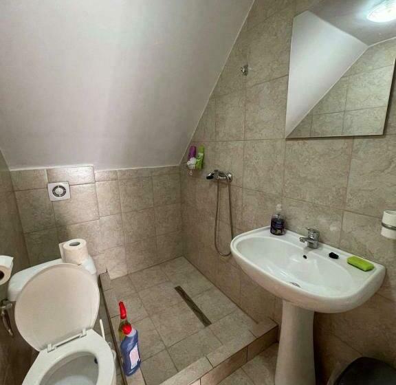 פנסיון Casa Wiesmann Băile Felix