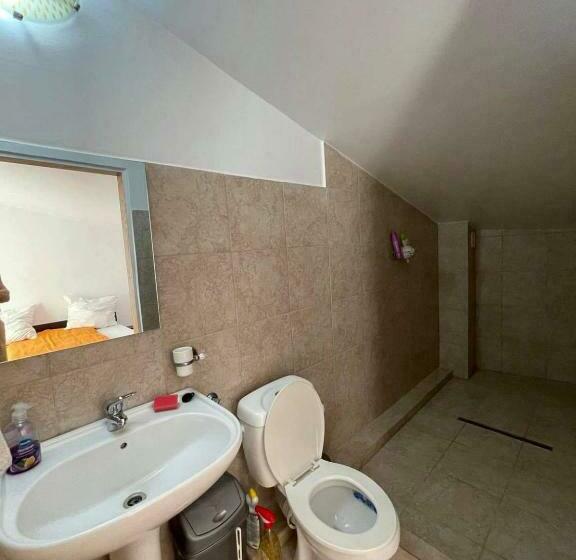 פנסיון Casa Wiesmann Băile Felix