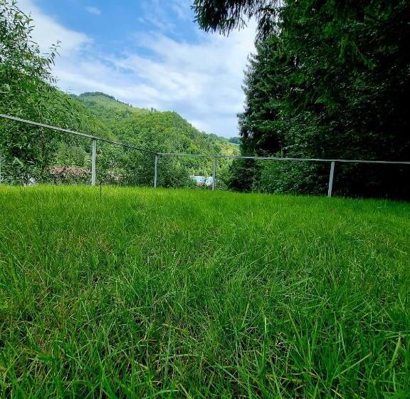 פנסיון Căbănuța Cocoțată