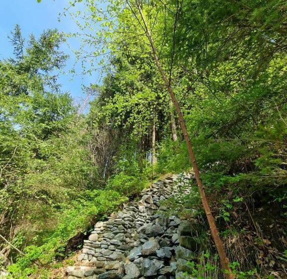 פנסיון Căbănuța Cocoțată