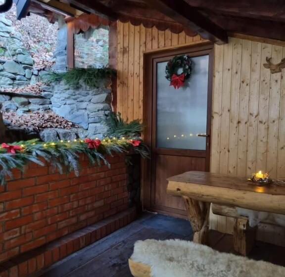 פנסיון Căbănuța Cocoțată