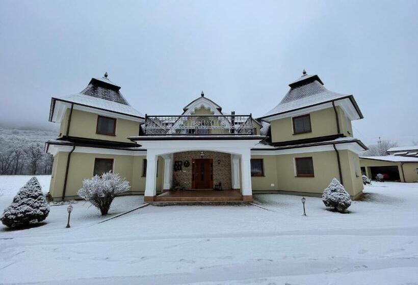 膳宿费 Penzión U Dvoch Levov