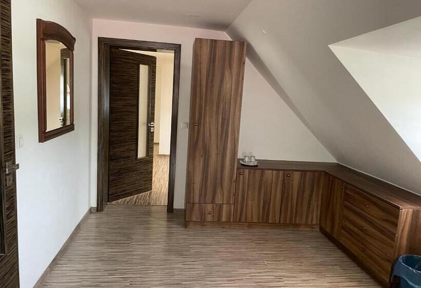 膳宿费 Penzión U Dvoch Levov