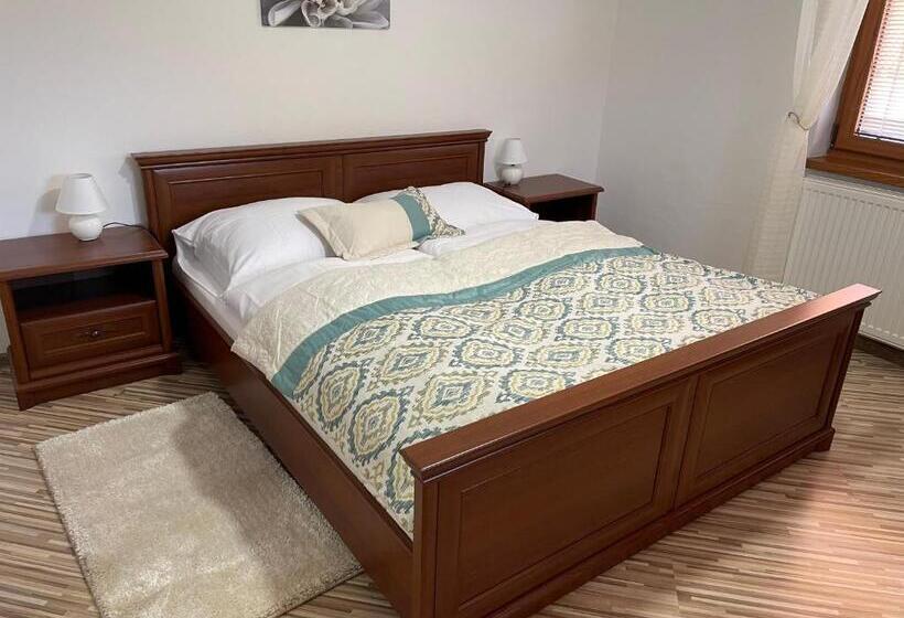 膳宿费 Penzión U Dvoch Levov