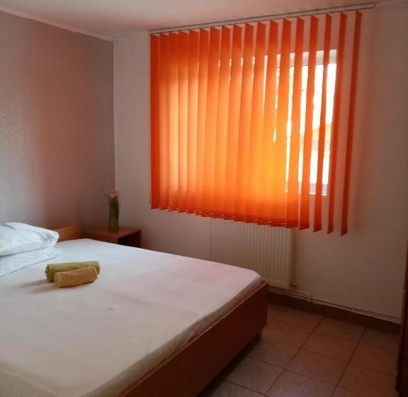 פנסיון Vila Danlavi Busteni