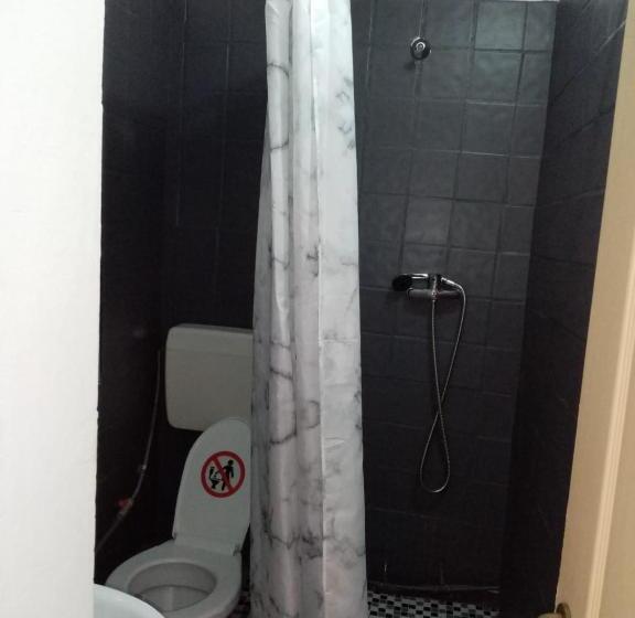 פנסיון Vila Danlavi Busteni