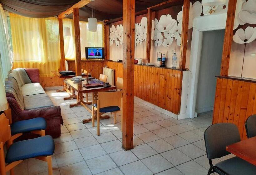 פנסיון Vila Danlavi Busteni