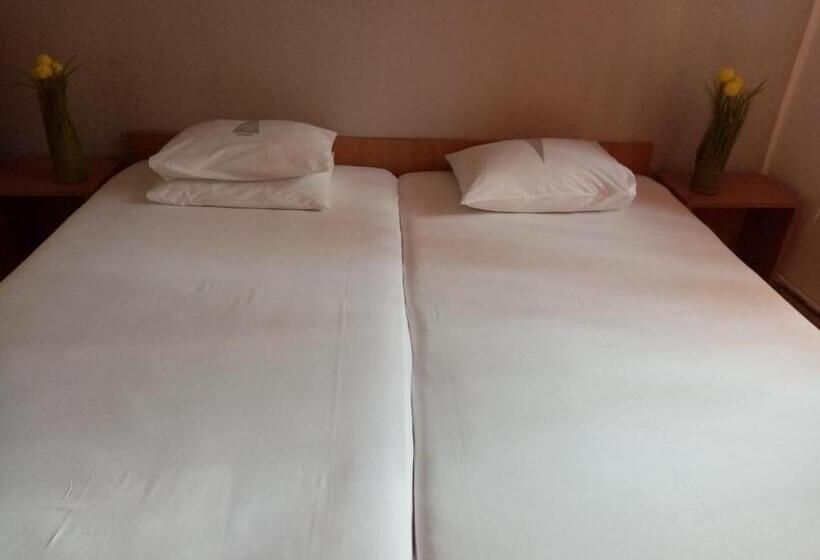 פנסיון Vila Danlavi Busteni